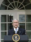 On November 5, 2008, President George W. Bush speaks to the media in the Rose Garden of the White House on November 5, 2008. Bush congratulated Barack Obama on his decisive Presidential victory. Bush called Obama a few minutes after Obama's victory was declared.