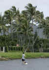 A stand-up paddler drifts in the canal near Barck Obama's beachfront vacation compound in Kailua, Hawaii on December 27, 2008.