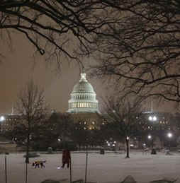 The Capitol transforms over a 24-hour period as snow falls overnight in Washington. On January 28, 2009 President Barack Obama scheduled several meetings at the Capitol to discuss his economic recovery plan.