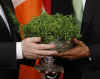 President Barack Obama is given a bowl of shamrocks by Irish Prime Minister Brian Cowen at the annual Shamrock Ceremony n the Roosevelt Room of the White House on St. Patrick's Day, March 17, 2009.