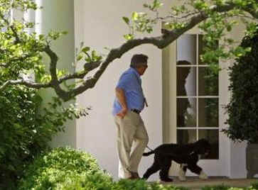 The First Dog Bo is walked along the Colonnade of the White House by White House horticulturist Dale Haney.