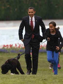 Malia Obama walks with Bo on the South Lawn of the White House on Bo's first day in his new home.