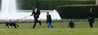 President Obama walks with Bo on the South Lawn of the White House on Bo's first day in his new home.