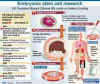 3_9_09_ExecOrder_Graph_Chronology_StemCells_AFP.jpg (33199 bytes)