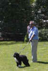 The First Dog Bo is walked across the South Lawn of the White House by White House horticulturist Dale Haney.