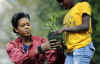 First Lady Michelle Obama tends to her White House Kitchen Garden with help from students of Bancroft Elementary School.