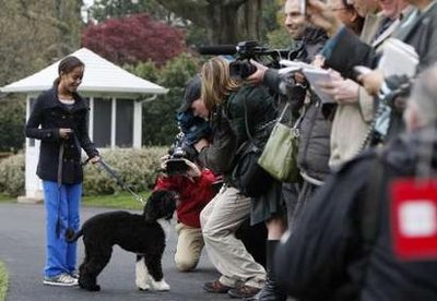 Watch the C-SPAN YouTube of Bo's Introduction to the Media at the White House on April 14/09.
