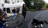 First Lady Michelle Obama leads Bo the new First Dog from the White House to the South Lawn.