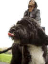 First Lady Michelle Obama leads Bo the new First Dog from the White House to the South Lawn.