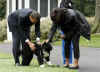 The Obama family introduces Bo to the media.