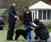 First Lady Michelle Obama leads Bo the new First Dog from the White House to the South Lawn.