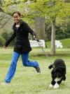 Obama Cool News - President Barack Obama's Family at the White House - President Obama's family dog, White House swing set, White House fruit and vegetable garden, and more. Photo: Malia Obama runs with Bo on the South Lawn of the White House on Bo's first day in his new home.