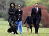 Malia Obama walks with Bo on the South Lawn of the White House on Bo's first day in his new home.