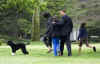 First Lady Michelle Obama walks with Bo on the South Lawn of the White House on Bo's first day in his new home.