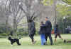 First Lady Michelle Obama walks with Bo on the South Lawn of the White House on Bo's first day in his new home.