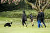 First Lady Michelle Obama walks with Bo on the South Lawn of the White House on Bo's first day in his new home.