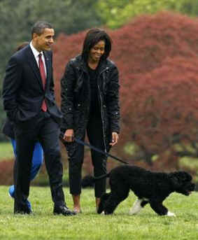 First Lady Michelle Obama walks with Bo on the South Lawn of the White House on Bo's first day in his new home.