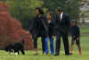 First Lady Michelle Obama walks with Bo on the South Lawn of the White House on Bo's first day in his new home.