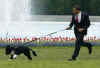 President Obama runs with Bo on the South Lawn of the White House on Bo's first day in his new home.