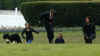 President Obama walks with Bo on the South Lawn of the White House on Bo's first day in his new home.
