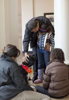 The White House releases photos of the new "First Dog" to be renamed "Bo". Sasha and Malia recently met their new Portuguese Water Dog puppy. The puppy is expected to arrive at the White House on Tuesday, April 14, 2009.