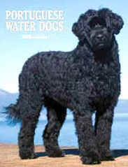 First Lady Michelle Obama tells People magazine she is considering a Portuguese Water Dog for the family dog in April.