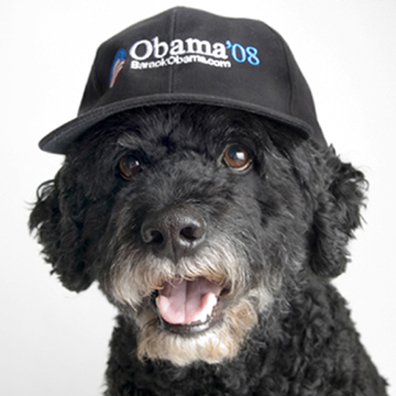 Watch the YouTube of President Obama discussing a dog for Sasha and Malia on November 4, 2008.
